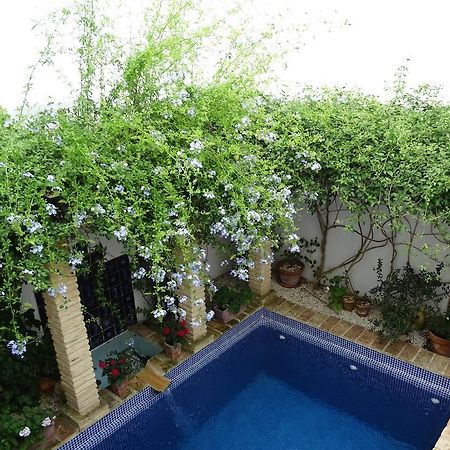 Casa La Loba Hotell Medina-Sidonia Exteriör bild